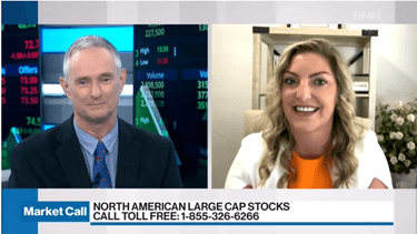 North American Large Cap Stocks